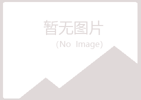 鹤岗兴山青槐采矿有限公司